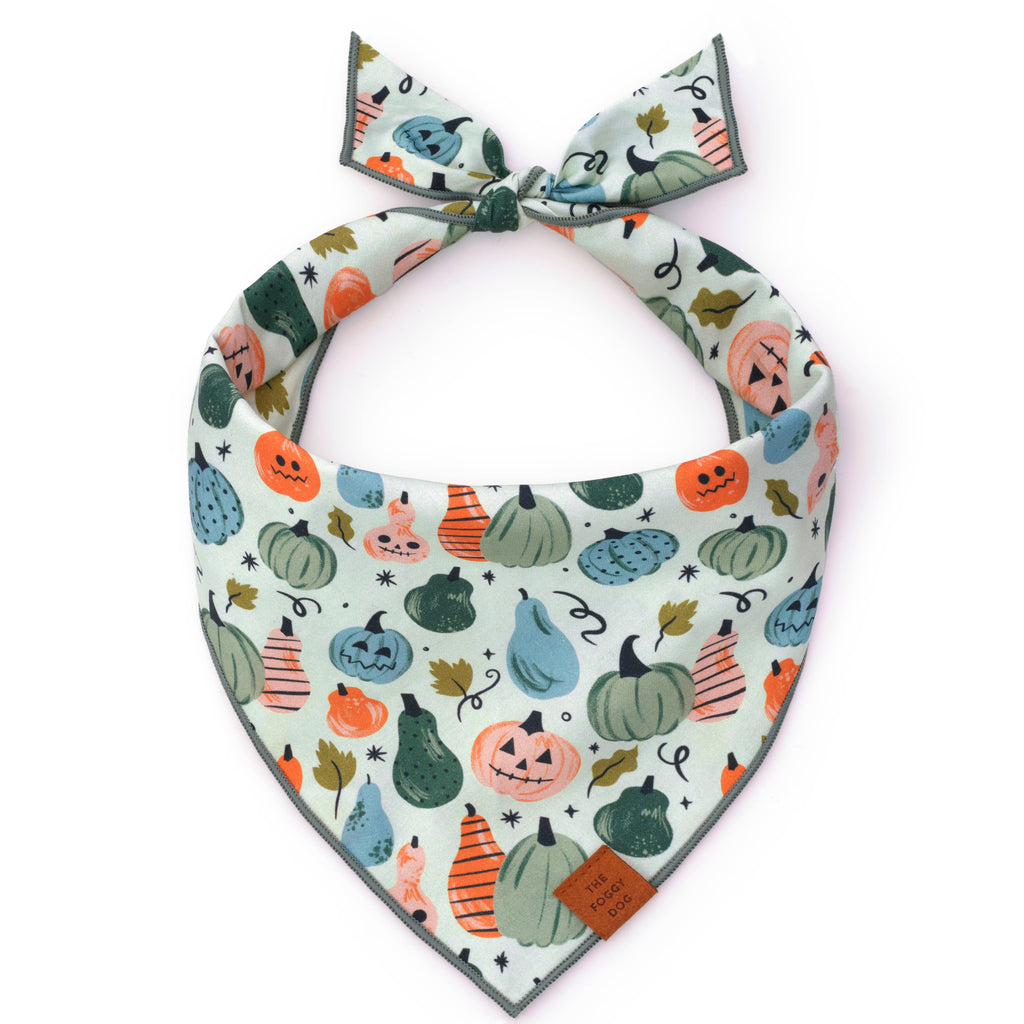 Looking Gourd Halloween Dog Bandana