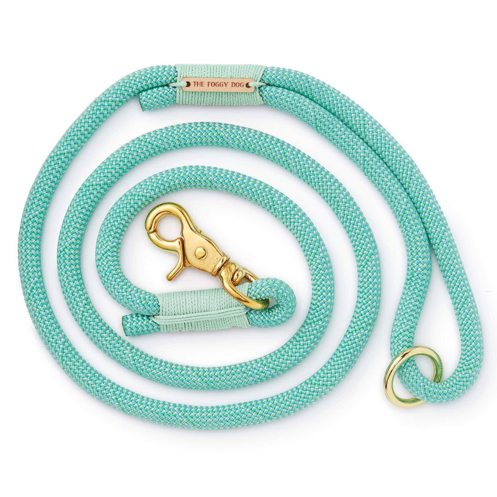 Spearmint Climbing Rope Dog Leash - Mint Cording