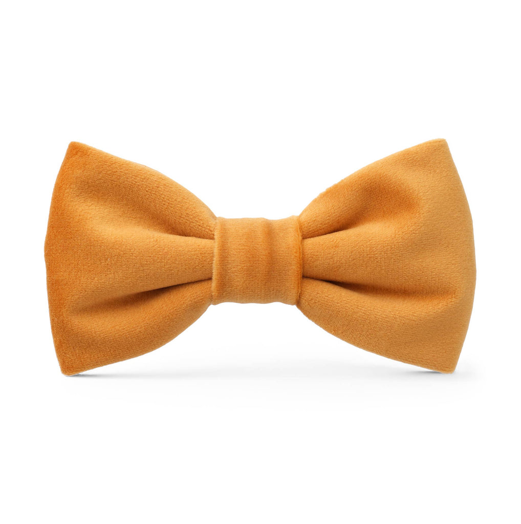 Honey Velvet Fall Dog Bow Tie