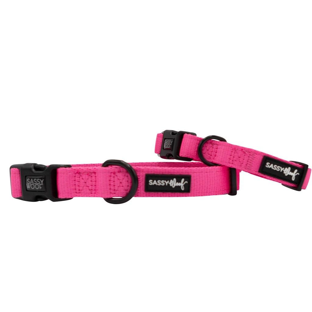 Dog Collar - Neon Pink